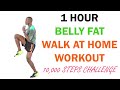 1 Hour Belly Fat Walk at Home Workout/ 10,000 Steps Challenge 🔥 Torch 550 Calories 🔥