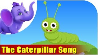 The Caterpillar Song | Nature song for Kids | 4K | Appu Series