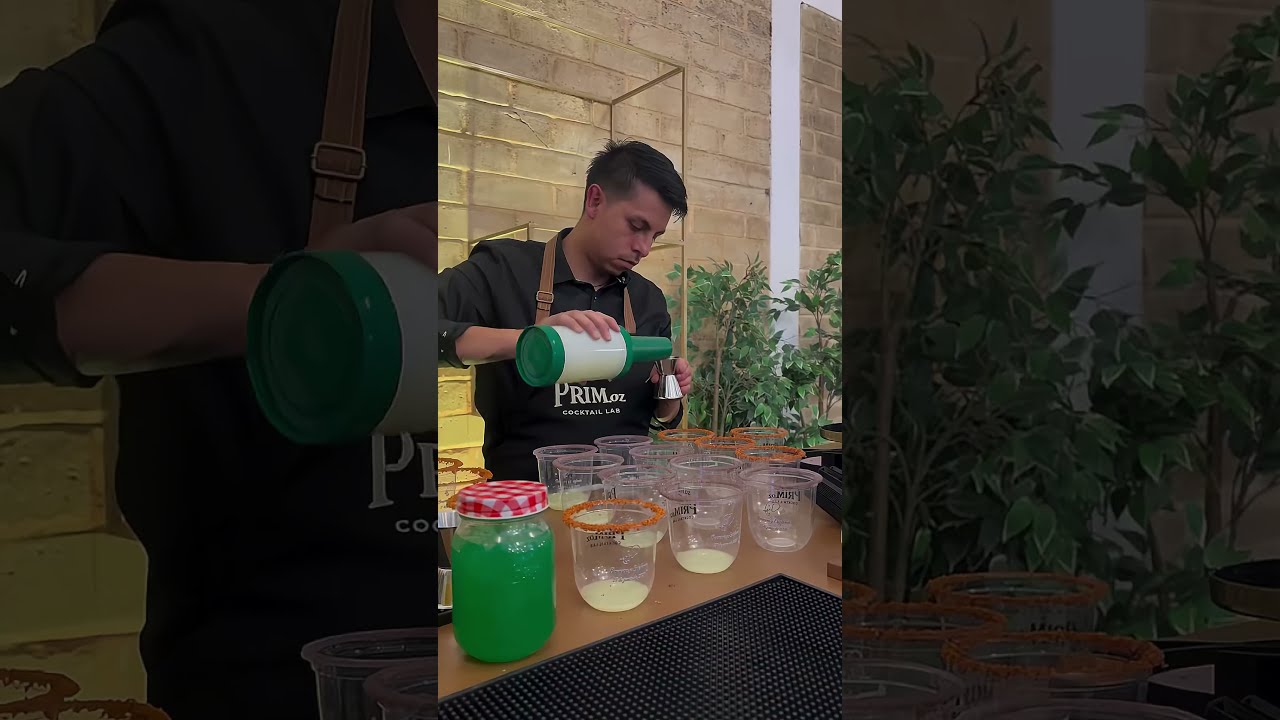 Reproducir video