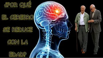 ¿A qué edad tu cerebro se ralentiza?