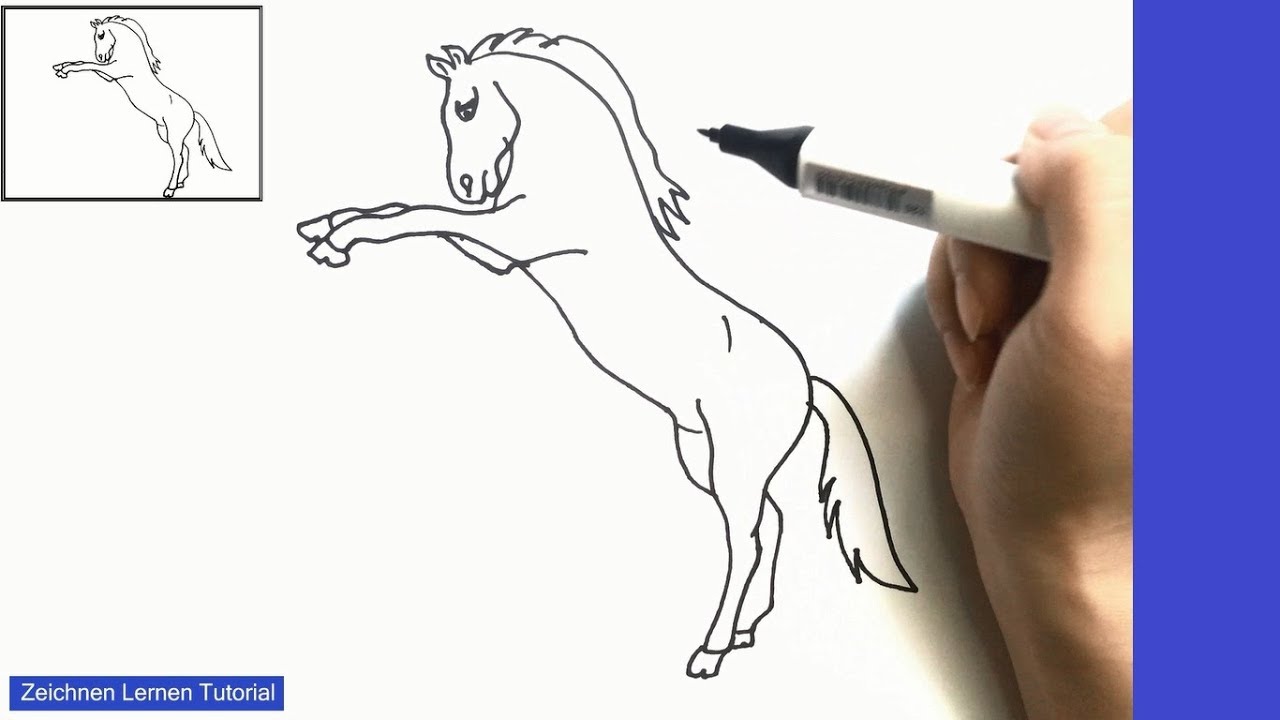 Pferd Einfach Zeichnen