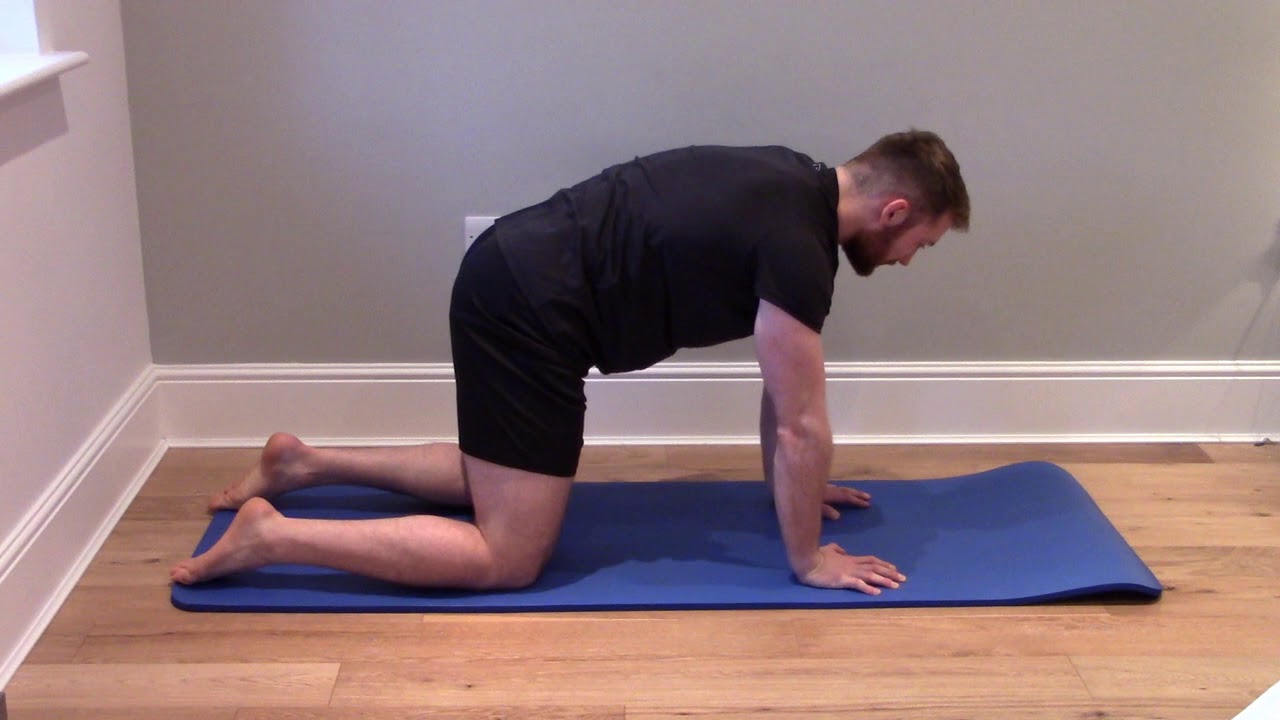Cat Camel Exercise to Reduce Back Pain | Surrey Sports Chiropractor ...