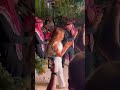 نجوى كرم يستقبلها جمهورها في الاردن قبل حفلها في جرش 