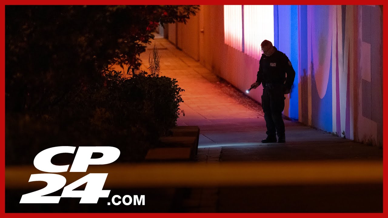 Police declare homicide investigation underway in High Park