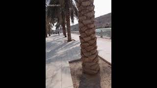 wadi hanifa park??