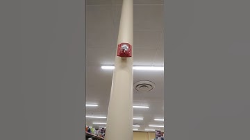 System Sensor Spectralert Advance P2R Horn Strobe