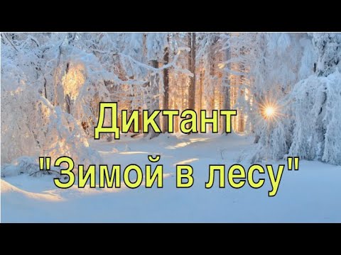 52. Диктант "Зимой в лесу"