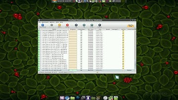 FreeRapid - Rapidshare Downloader - Linux Mint 7
