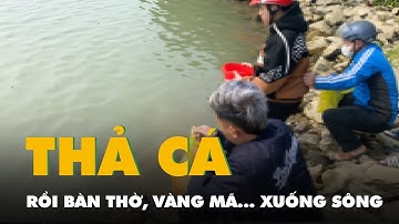 Thả cá tiễn Táo quân, thả luôn cả túi ni lông, bát hương, bàn thờ, vàng mã… xuống sông