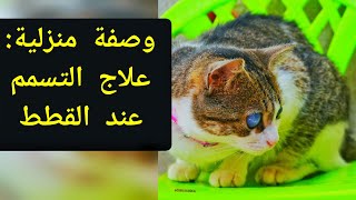 علاج حالة التسمم عند القطط: وصفة منزلية