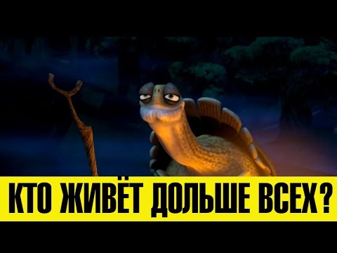 КТО ЖИВЁТ ДОЛЬШЕ ВСЕХ?