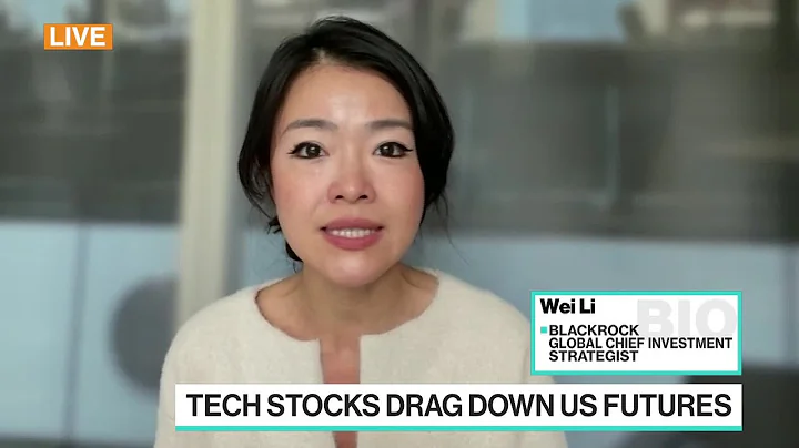 AI-Fueled Stocks Rally Has Further to Go, BlackRock's Wei Li Says - DayDayNews