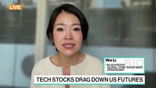 AIFueled Stocks Rally Has Further to Go, BlackRock's Wei Li Says