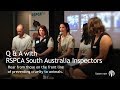 Qa with rspca south australia inspectors