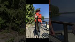 #Saimaa #Imatra #kalastus