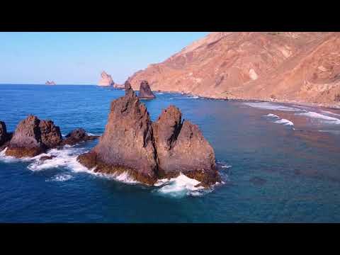 The Charm Of Nature Edgar Tuniyants 