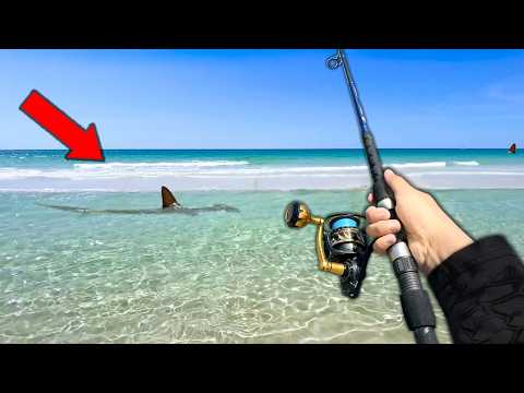 Fishing the Most