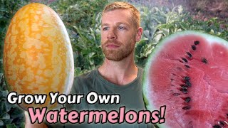 How I Grow Watermelons From Seed to Harvest  ft. Two Awesome Varieties