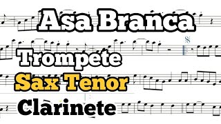 Asa Branca - Trompete, Sax Tenor, Clarinete