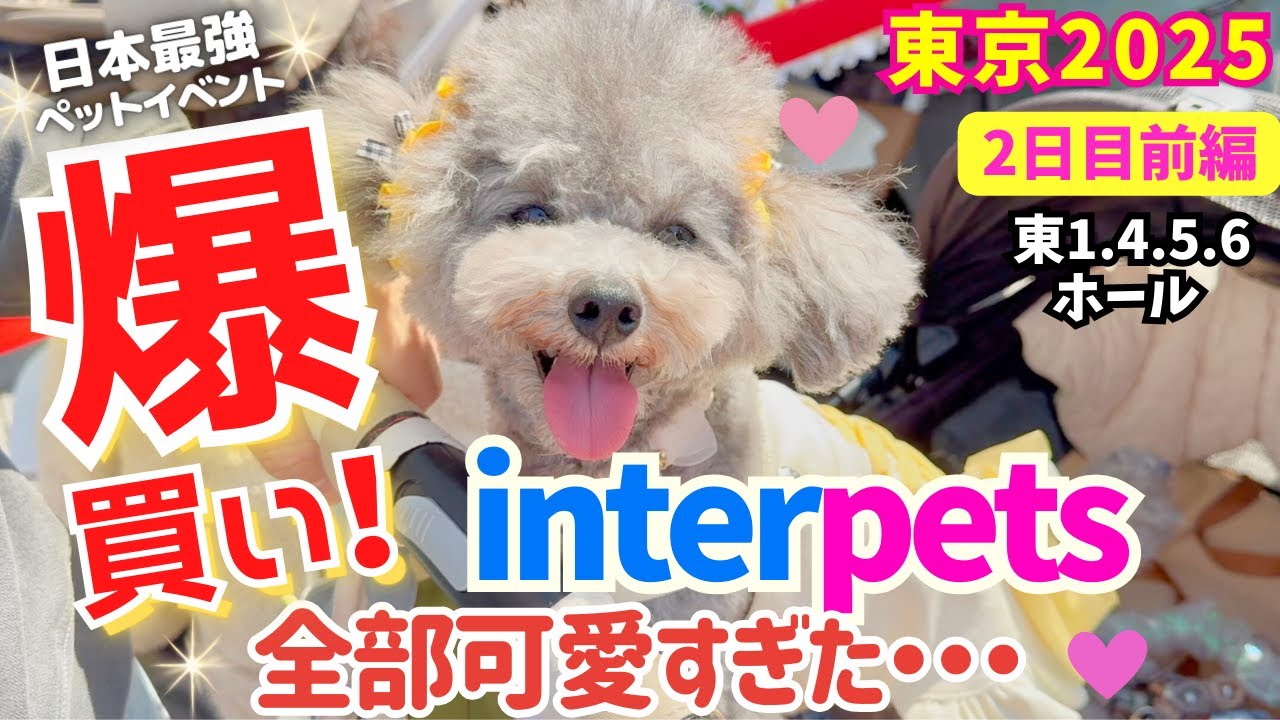 【インターペット2025】全部可愛すぎて爆買い💦日本最大級のペットイベント【東京ビッグサイト】【犬イベント】2日目前編 【東1・４・5・６ホール厳選出展者32社紹介・過去最多950社】