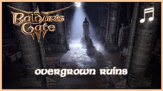 BALDURS GATE 3 Refectory Music | Overgrown Ruins | Unofficial Soundtrack