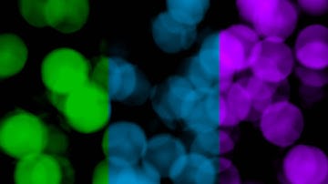 Tutoriales Vegas Pro 12.0 - Textura Ambiental #14