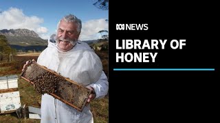 This type of honey is a hot commodity, but how do you check it's the real deal? | ABC News