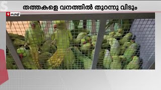 Download Lagu തമിഴ്നാട്ടില് നിന്ന് വില്പ്പനയ്ക്കായി തത്തകളെ എത്തിച്ച സംഭവം; മൂന്ന് പേര് പിടിയില് MP3 Download Lagu തമിഴ്നാട്ടില് നിന്ന് വില്പ്പനയ്ക്കായി തത്തകളെ എത്തിച്ച സംഭവം; മൂന്ന് പേര് പിടിയില് MP3