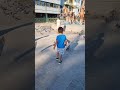 Poyraz Kuşların Arasında Kaldı Çok Korktu 🕊🕊 #shorts