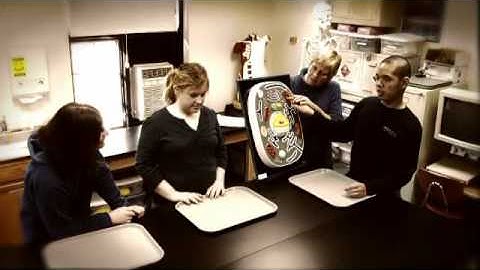 Accessible Science: Life Science 7 of 8