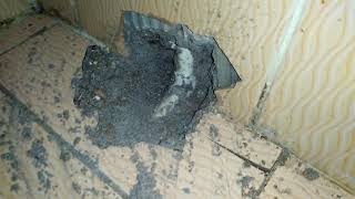 Kombinin Altından Alt Kata Su Akıyor. Su Kaçağı.