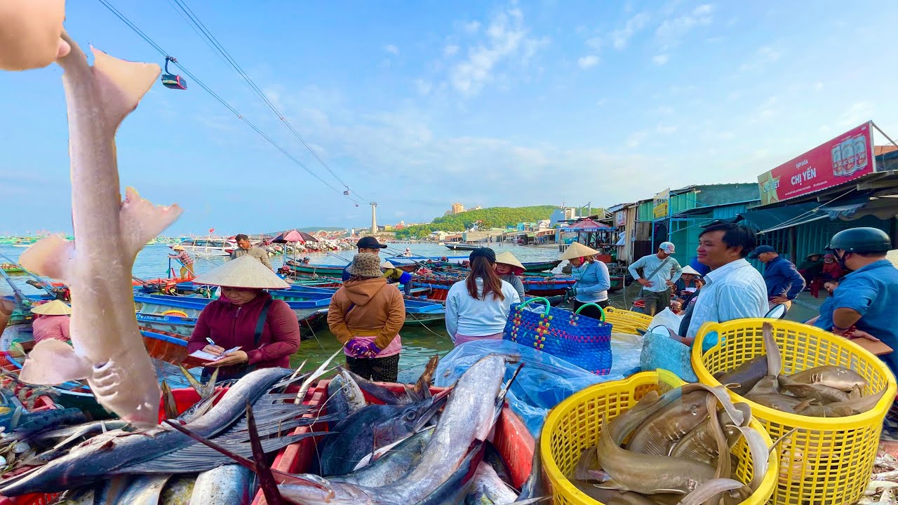 Hàng 100 Tấn Cá Ngân,Cá Thu,Cá Mú,Mực Thướt,Tập Kết Tại Bãi Xếp Lớn Và Cảng Cá An thới Phú Quốc