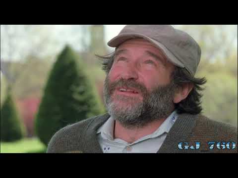 ჭკვიანი უილ ჰანტინგი  Good Will Hunting