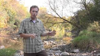 Ask an Expert- Intro- Paul Wymar