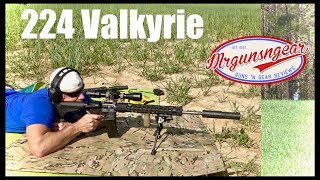 Shooting The Palmetto State Armory 224 Valkyrie Upper At 610 Yards