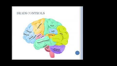 Basic Concepts and Applications of Brain Computer Interface (BCI) | FDP on ML Techniques for BCI