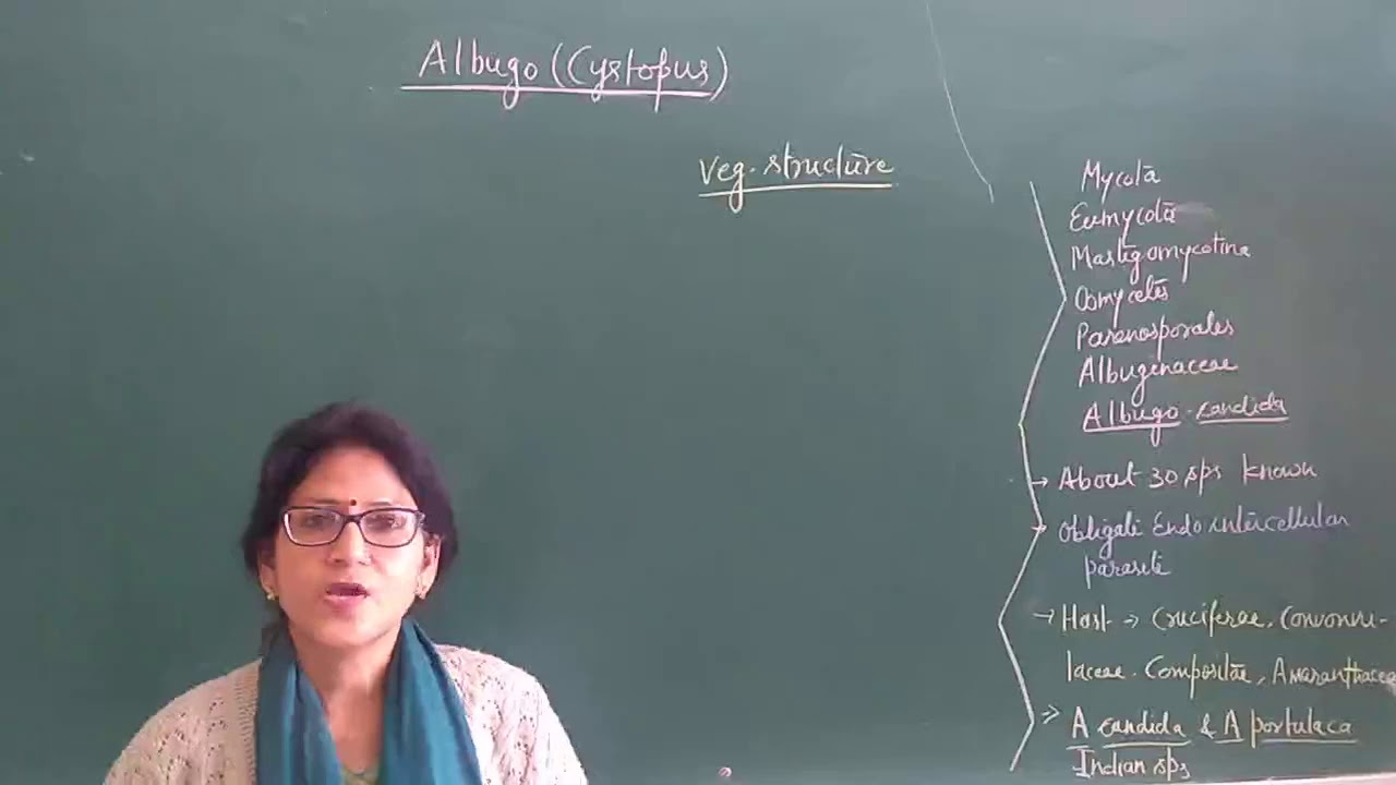 B.Sc. part 1 Albugo candida 1