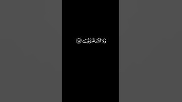 Chroma Quran | كروما القرآن | سورة الزخرف الآيات 67-70 ياسر الدوسري
