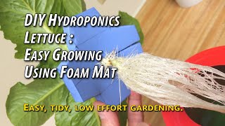 DIY Hydroponics Lettuce: Easy Growing Using Kratky Method, Foam Mat Grow Medium. Passive, Low Effort