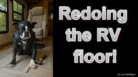 Redoing the RV floor thank to my helper  Video #2351