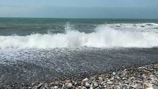 IMG 1137