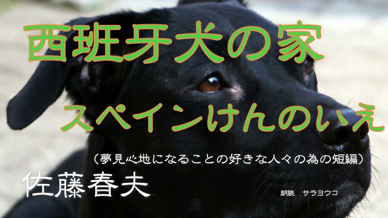 朗読 西班牙犬の家 スペインけんのいえ 夢見心地になることの好きな人々の為の短編 佐藤春夫 Youtube