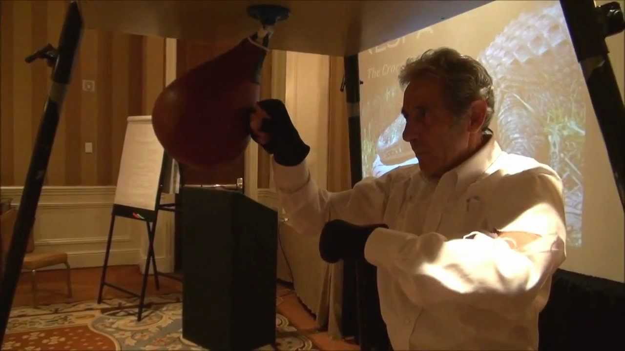 Roger Anthony - Speed Bag Jedi