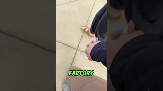 I Swear I Was Just Looking