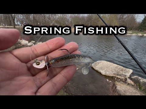 Fishing Bass In Loaded Pond!