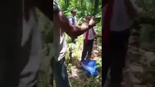 Balik Sekolah Hisap Rokok Dalam Hutan