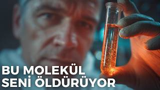 Kadim Koruyucumuz Nasl Celladmza Dnt  Stresin Evrimsel Hatas