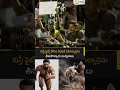 కుస్తీ ఫైట్స్ కోసం రియల్ పెహిల్వాన్లను తీసుకొచ్చాడు బుచ్చిబాబు  | Filmyfocus.com