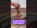 #shiv #shiva #shivling #pradeepmishra #upay #shorts #trending #bihar #temple #vlog #news #bhojpuri