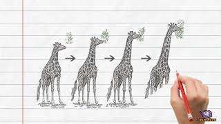 Famous Natural Selection Part 3 Profile
